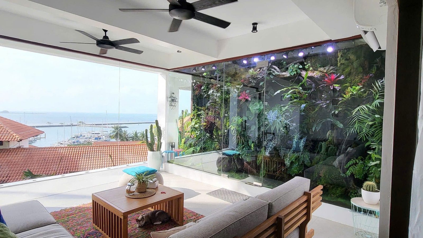 Bể cá thủy sinh 2