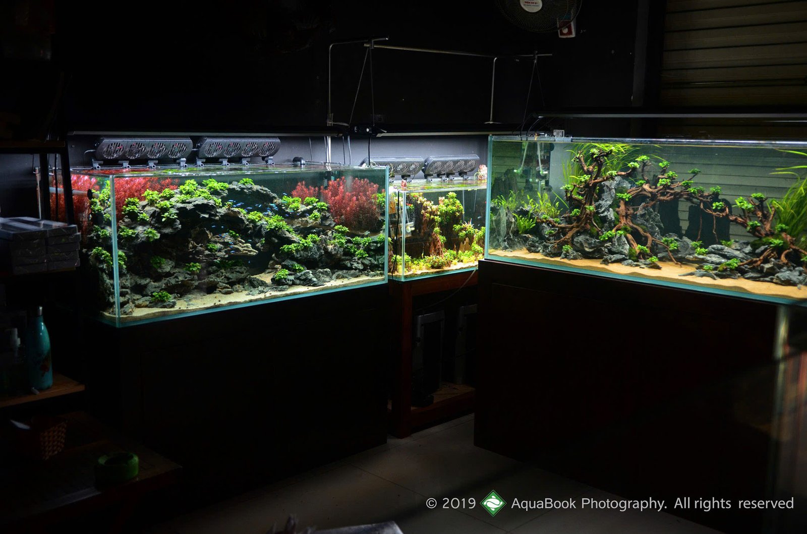 Bể cá thủy sinh 25