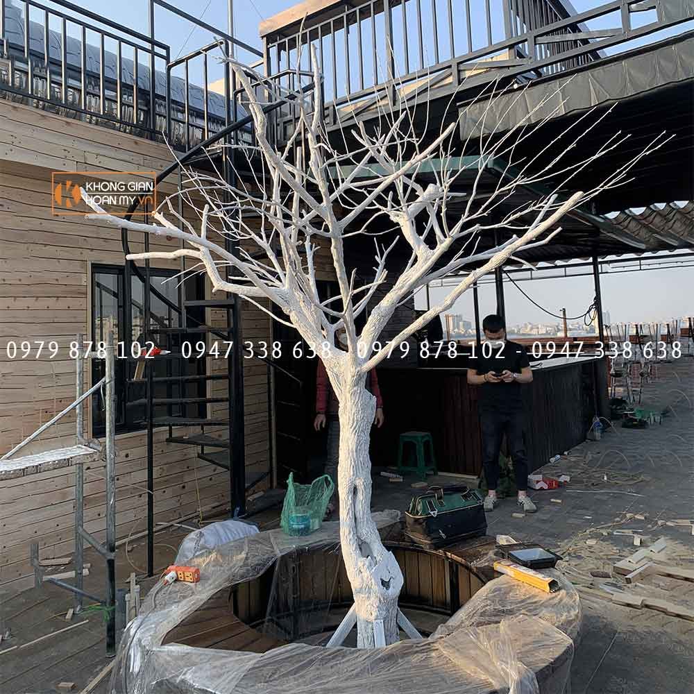 Cây khô trang trí lớn