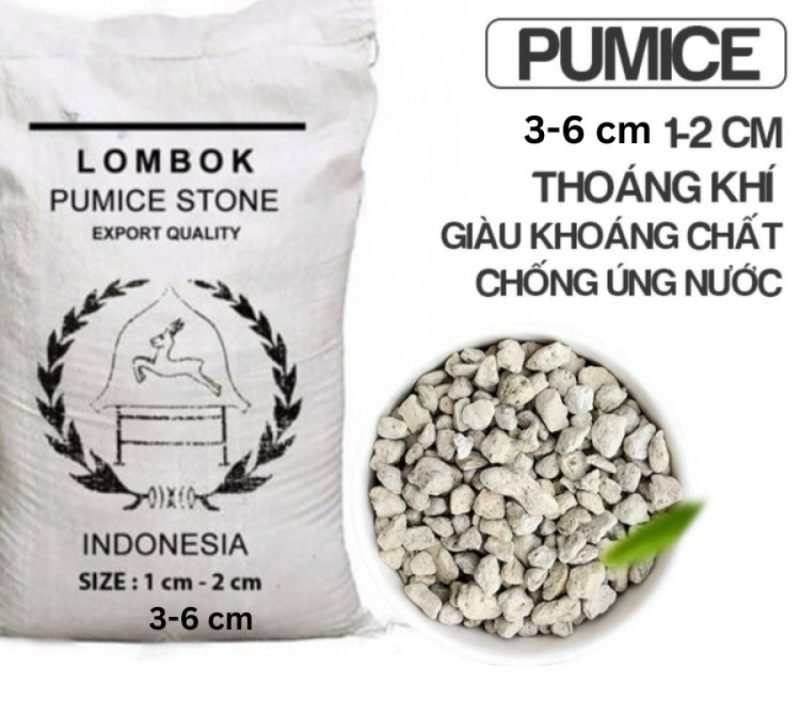 Đá tro núi lửa (Pumice)