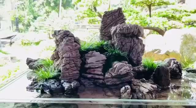 Bể đá da voi
